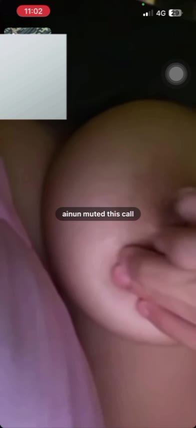 AN (1)